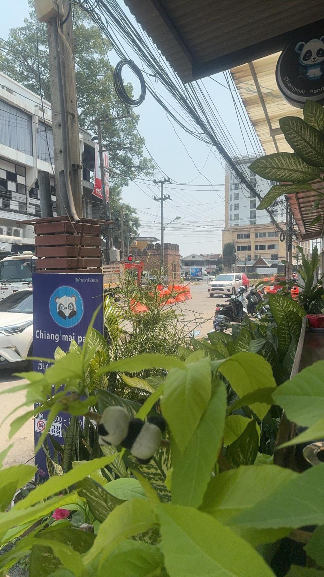 Chiang Mai Panda Hostel Eksteriør billede