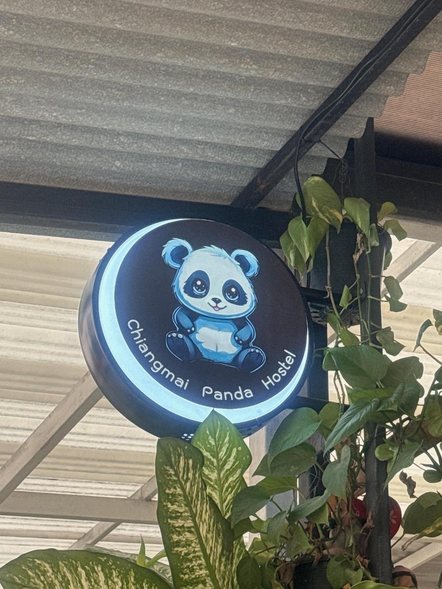 Chiang Mai Panda Hostel Eksteriør billede
