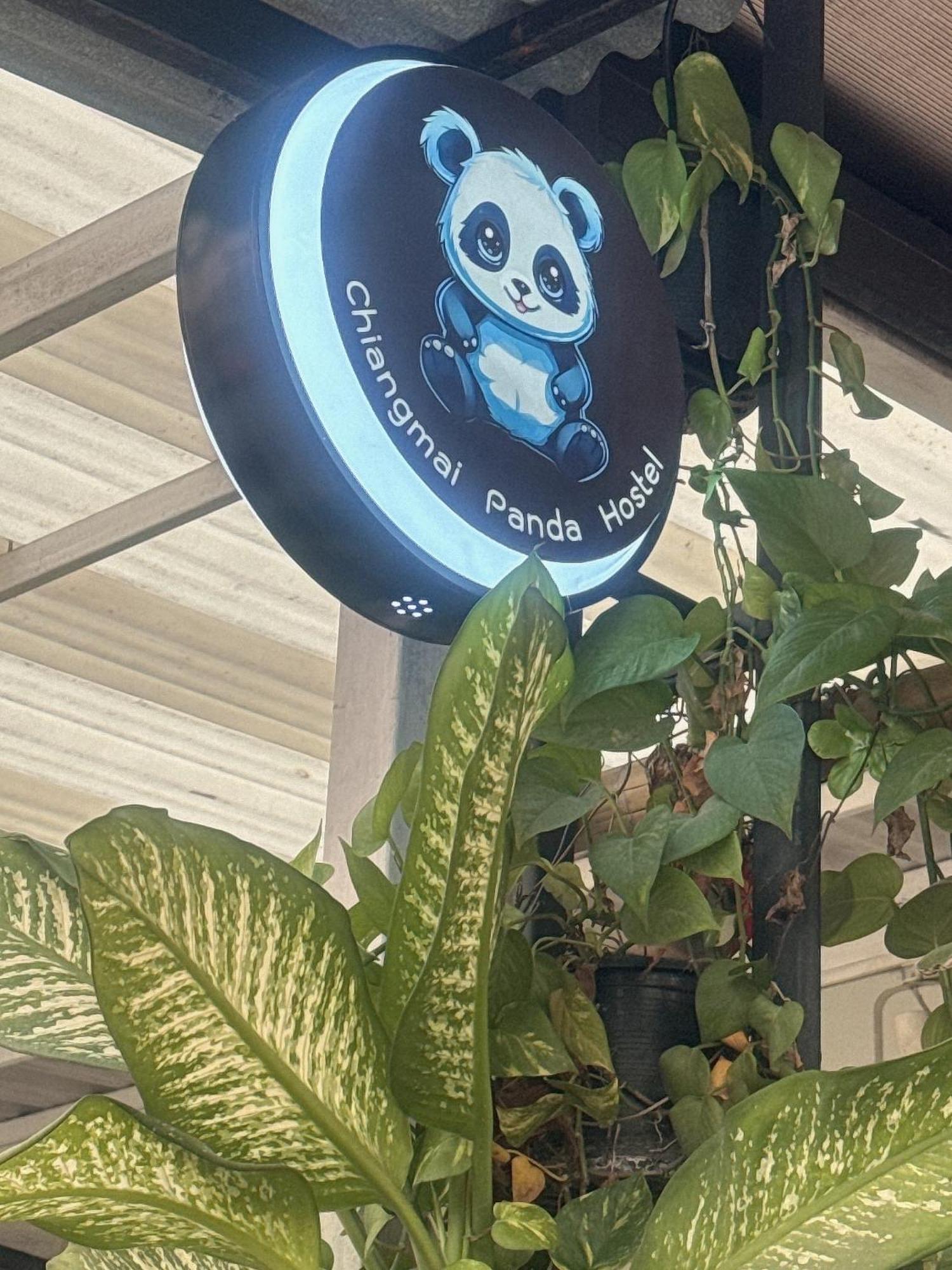 Chiang Mai Panda Hostel Eksteriør billede